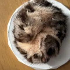 2026年最新】acca ミンクファー シュシュの人気アイテム - メルカリ