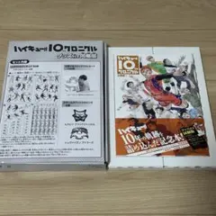 2026年最新】ハイキュー!! 10thクロニクル グッズ付き同梱版 未開封