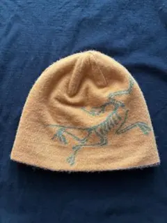 2026年最新】アークテリクス ビーニー 黄色の人気アイテム - メルカリ