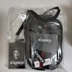 2026年最新】レディーガガ vipの人気アイテム - メルカリ