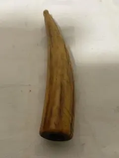 2026年最新】鯨歯 パイプの人気アイテム - メルカリ