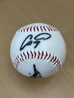 2026年最新】津田恒実 サインの人気アイテム - メルカリ