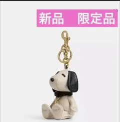 2026年最新】コーチスヌーピーキーホルダーの人気アイテム - メルカリ