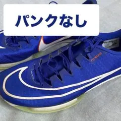 2026年最新】ズームマックスフライの人気アイテム - メルカリ