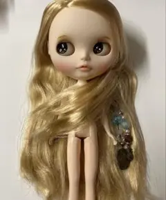 2026年最新】カスタムブライス 作家さまの人気アイテム - メルカリ