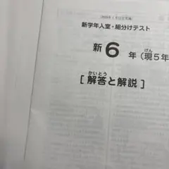 2026年最新】サピックス 新6年組分けテストの人気アイテム - メルカリ