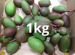 2026年最新】摘果マンゴーの人気アイテム - メルカリ