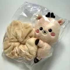 2026年最新】riize ソンチャン シュシュの人気アイテム - メルカリ