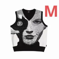 2026年最新】stussy photo jacquard vestの人気アイテム - メルカリ