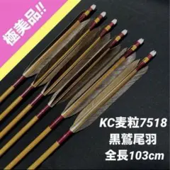 2026年最新】kcカーボン 弓道の人気アイテム - メルカリ