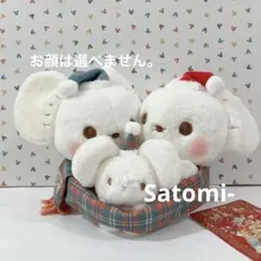 2026年最新】ポケモン クリスマス イッカネズミの人気アイテム - メルカリ