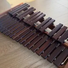 2026年最新】マリンバ 楽器 コオロギの人気アイテム - メルカリ