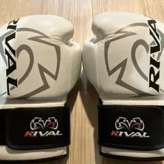 2026年最新】rival グローブ 14の人気アイテム - メルカリ
