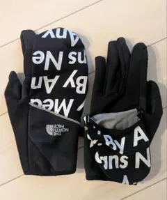 2026年最新】north face supreme 手袋の人気アイテム - メルカリ