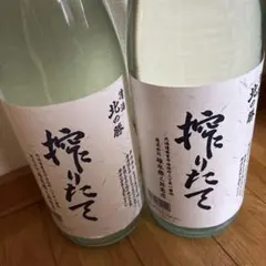 2026年最新】北の勝 搾りたて2025の人気アイテム - メルカリ