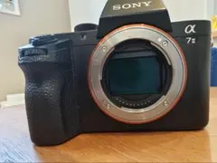 2026年最新】ジャンク ソニー ミラーレスの人気アイテム - メルカリ