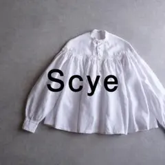 2026年最新】scye リネンタックブラウス 40の人気アイテム - メルカリ
