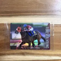 2026年最新】競走馬 サインの人気アイテム - メルカリ