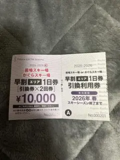 2026年最新】かぐらリフト券の人気アイテム - メルカリ