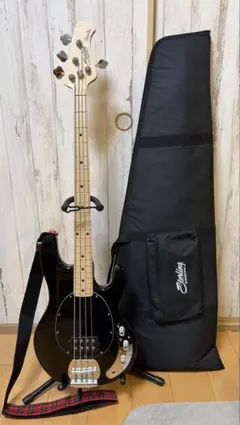 2026年最新】musicman ベースケースの人気アイテム - メルカリ