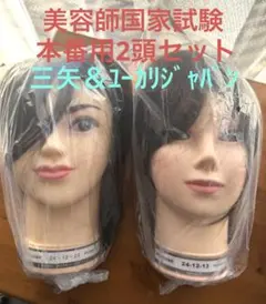 2026年最新】カットウィッグ 三矢の人気アイテム - メルカリ