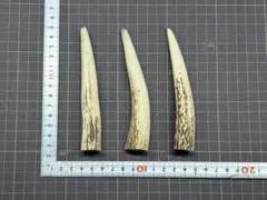 2026年最新】エゾシカ 角の人気アイテム - メルカリ