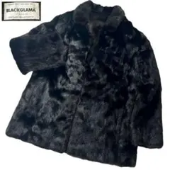 2026年最新】ブラックグラマ ミンクの人気アイテム - メルカリ