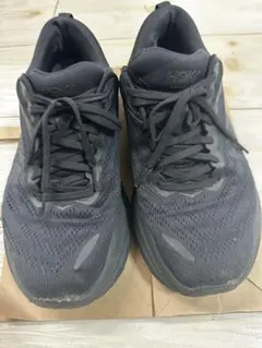 2026年最新】ホカボンダイの人気アイテム - メルカリ