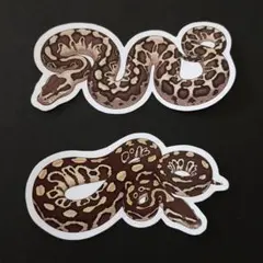 2026年最新】パーフェクトボールパイソンの人気アイテム - メルカリ