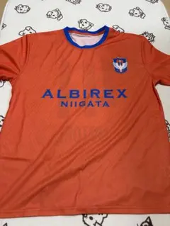 2026年最新】アルビレックス 長谷川元希の人気アイテム - メルカリ