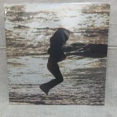 2026年最新】踊ってばかりの国 lpの人気アイテム - メルカリ