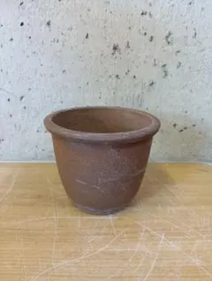 2026年最新】伝市 鉢の人気アイテム - メルカリ