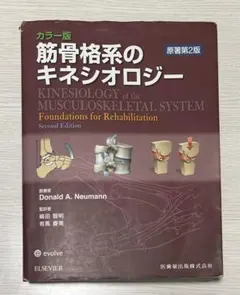 2026年最新】筋骨格系のキネシオロジーの人気アイテム - メルカリ