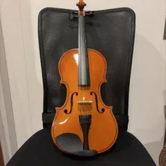 2026年最新】ヴァイオリンケースの人気アイテム - メルカリ