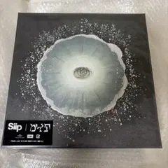 2026年最新】siip 完全生産限定の人気アイテム - メルカリ