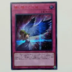 2026年最新】赤シクの人気アイテム - メルカリ