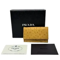 2026年最新】プラダ PRADA オーストリッチの人気アイテム - メルカリ