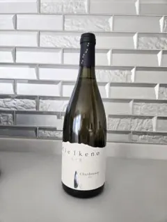 2026年最新】ミエイケノ シャルドネの人気アイテム - メルカリ