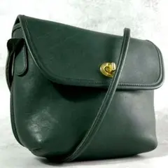 2026年最新】オールドコーチ ショルダーバッグ グリーンの人気アイテム