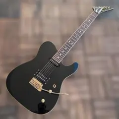 2026年最新】布袋モデル ギターの人気アイテム - メルカリ