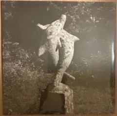 2026年最新】青葉市子 lpの人気アイテム - メルカリ