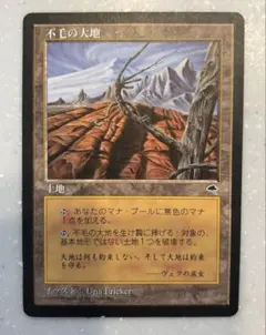 2026年最新】不毛の大地の人気アイテム - メルカリ