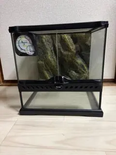 2026年最新】グラステラリウム3030の人気アイテム - メルカリ