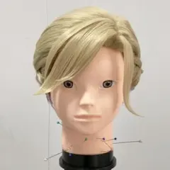 2026年最新】ツイステ ヴィル ウィッグの人気アイテム - メルカリ