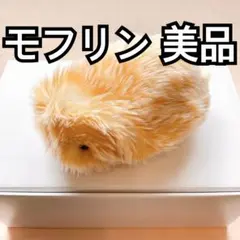 2026年最新】CASIO ぬいぐるみ本体の人気アイテム - メルカリ