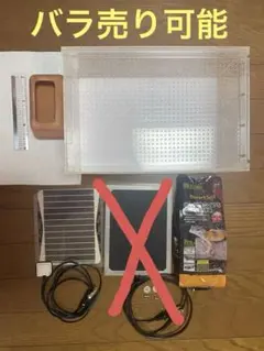 2026年最新】爬虫類飼育セットの人気アイテム - メルカリ