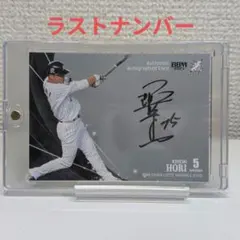 2026年最新】堀幸一の人気アイテム - メルカリ