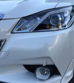 2026年最新】フォグガーニッシュ クラウンの人気アイテム - メルカリ