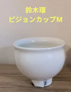 2026年最新】鈴木環 ピジョンの人気アイテム - メルカリ