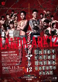 2026年最新】Rizin ポスター サインの人気アイテム - メルカリ